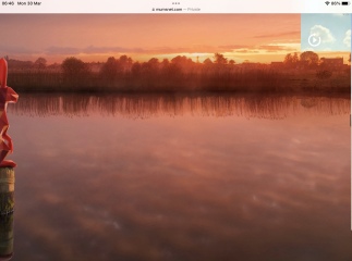 My MN browsing experience - in screenshots