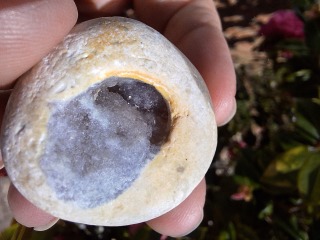 Year Round Nigel Slater discussion thread - Part 4