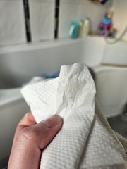 TMI - mucus plug or just discharge?