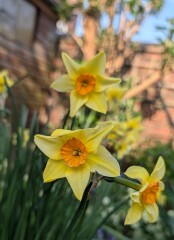 Year round Nigel Slater discussion thread - Part 3