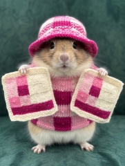 Part 2. Our blanket making for lovely waffle heads into its final stages.