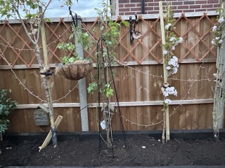 What have you done in the garden today? Part 8