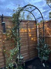 What have you done in the garden today? Part 8