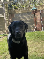 Beyond Adolescence and General Chit Chat - part 3