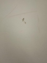 Help! Removal Men damaged wall and won't pay up - what to do?