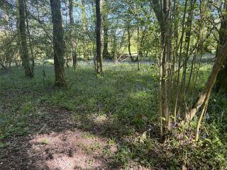 Keep On Exercising 2