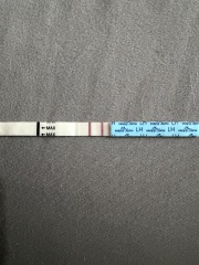 Confused by conflicting ovulation dates on Premom and Fertility Friend