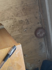 AIBU to leave a friend's flat because it was too messy?