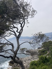 Year Round Nigel Slater discussion thread - Part 4