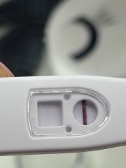 Could this spotting and faint test line mean early pregnancy?