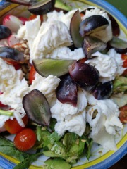 Meal planning, sharing recipes and ideas to make the weekly budget go further.