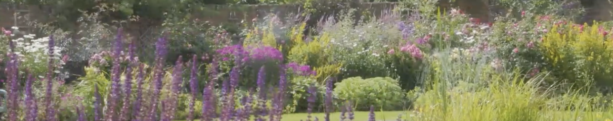 AIBU to rip out a beautiful garden in potential house?