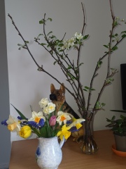 Just Supporting (Continued)