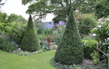 AIBU to rip out a beautiful garden in potential house?