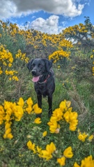 Beyond Adolescence and General Chit Chat - part 3