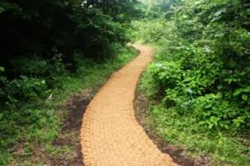 Thread 19 - TalkLair: "The light that burns twice as bright burns half as long"