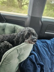 I have 10 guests coming for over a week...