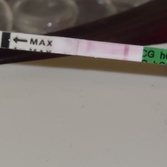 Could a faint pregnancy test line disappear as it dries?