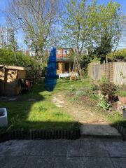 In a pickle about a pear tree - help!
