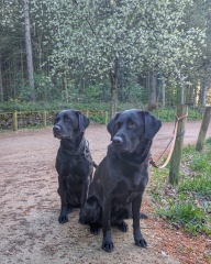 Beyond Adolescence and General Chit Chat - part 3