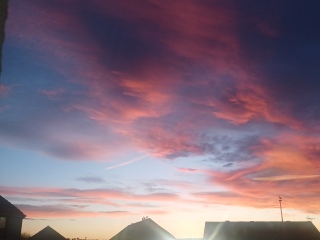 Just Supporting (Continued)