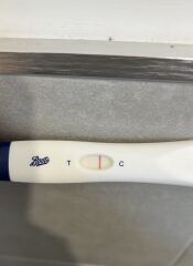 Help me confirm this is an evap, isn’t it?!