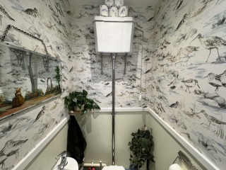 To ask to see your downstairs toilet wallpaper?
