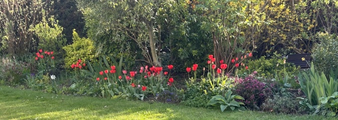 Just Supporting (Continued)