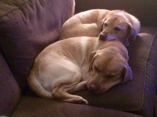 Do you remember this Mumsnet story…?  Update