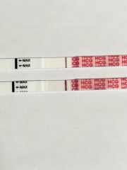 AIBU to think this is a false positive?