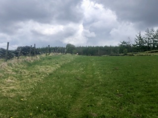 May 2025 Starters Thread 7 - Ending the year as we mean to go on ✌️