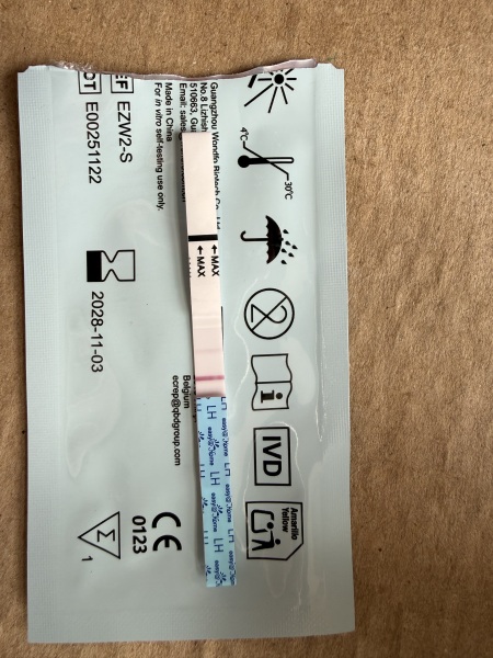 Could a faint positive OPK during a light period mean anything?