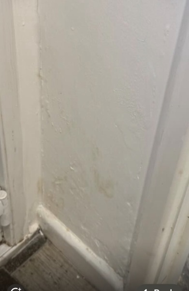 Could lumpy patches on rendered external walls indicate damp issues?