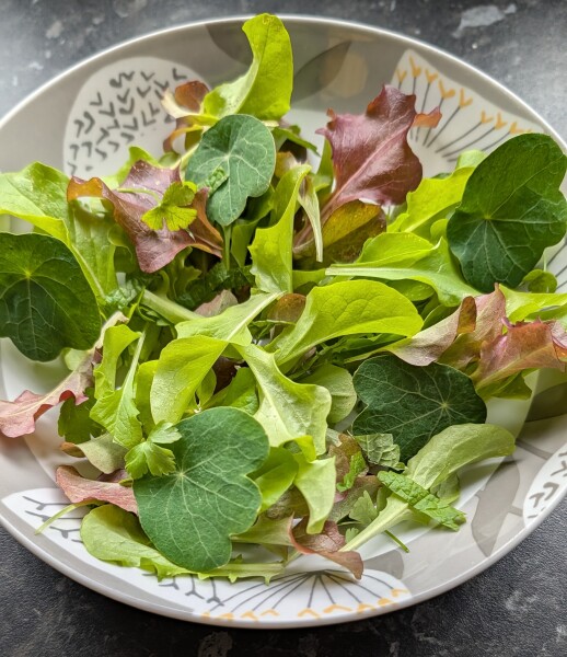 Year Round Nigel Slater discussion thread - Part 4