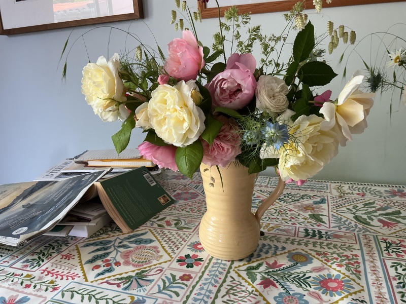 What have you done in the garden today? Part 8