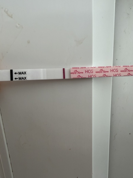 Confused by conflicting ovulation dates on Premom and Fertility Friend