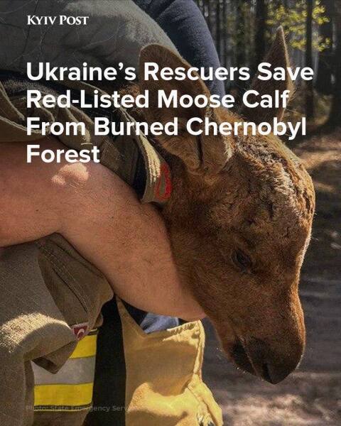 Ukraine Invasion: Part 61