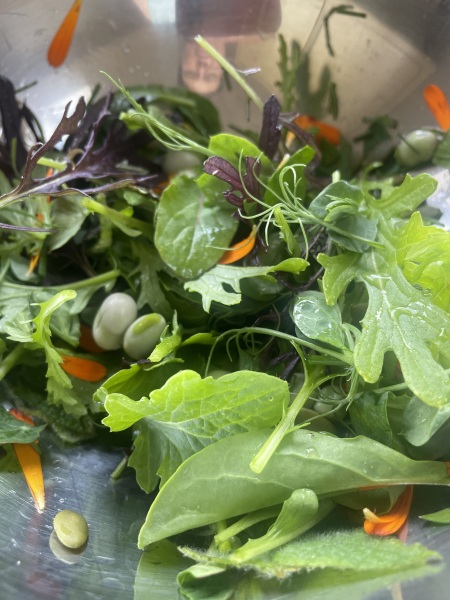 Year Round Nigel Slater discussion thread - Part 4