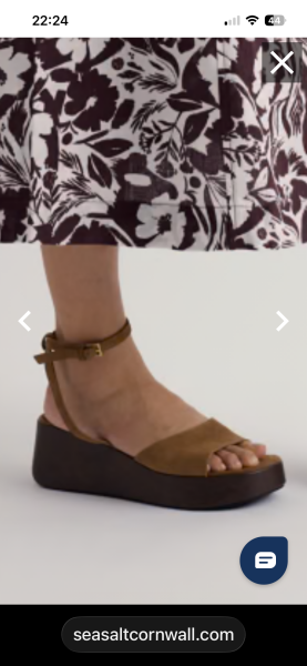 Anyone recognise these shoes from the Seasalt catalogue?