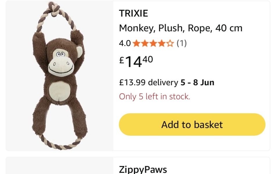 To ask for help locating a dog toy