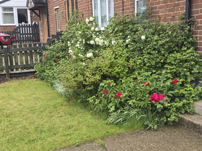 What have you done in the garden today? Part 8