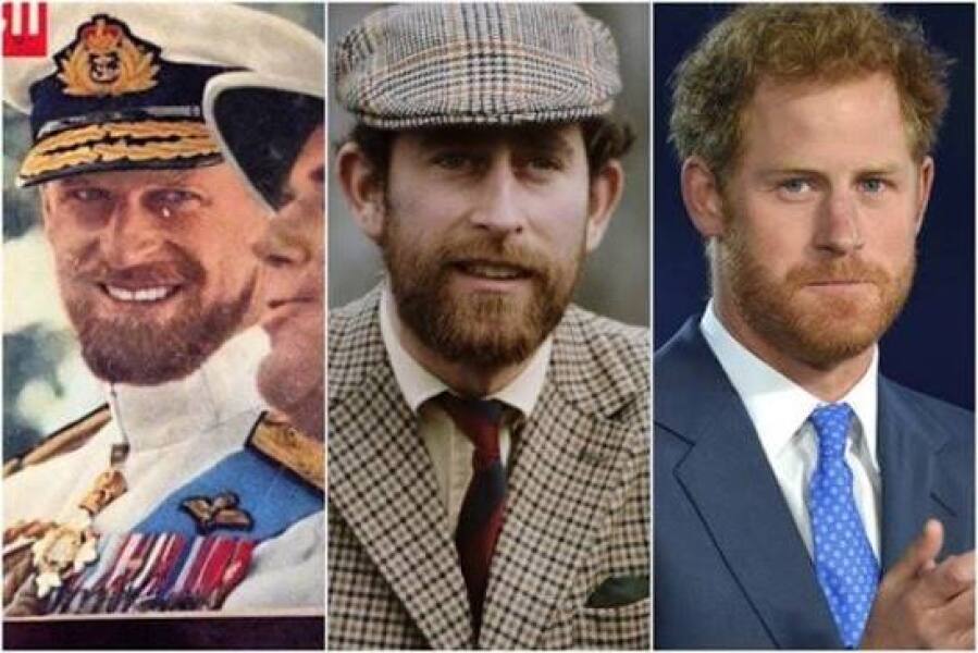 Is ANDREW really Prince Phillips son.