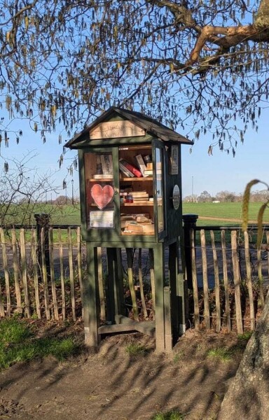 To throw old books into the recycling bin?