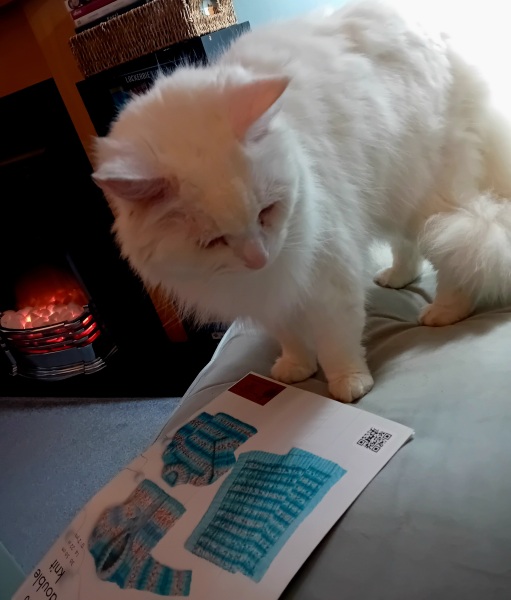 Get A Compass! The Excellent Cats embrace a new rallying cry
