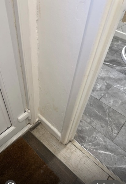 Could lumpy patches on rendered external walls indicate damp issues?