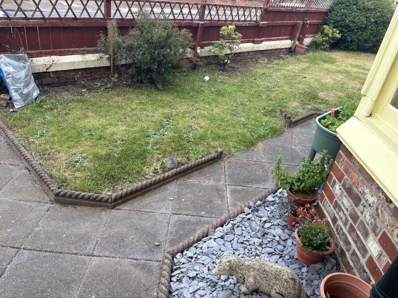 What would you plant here?