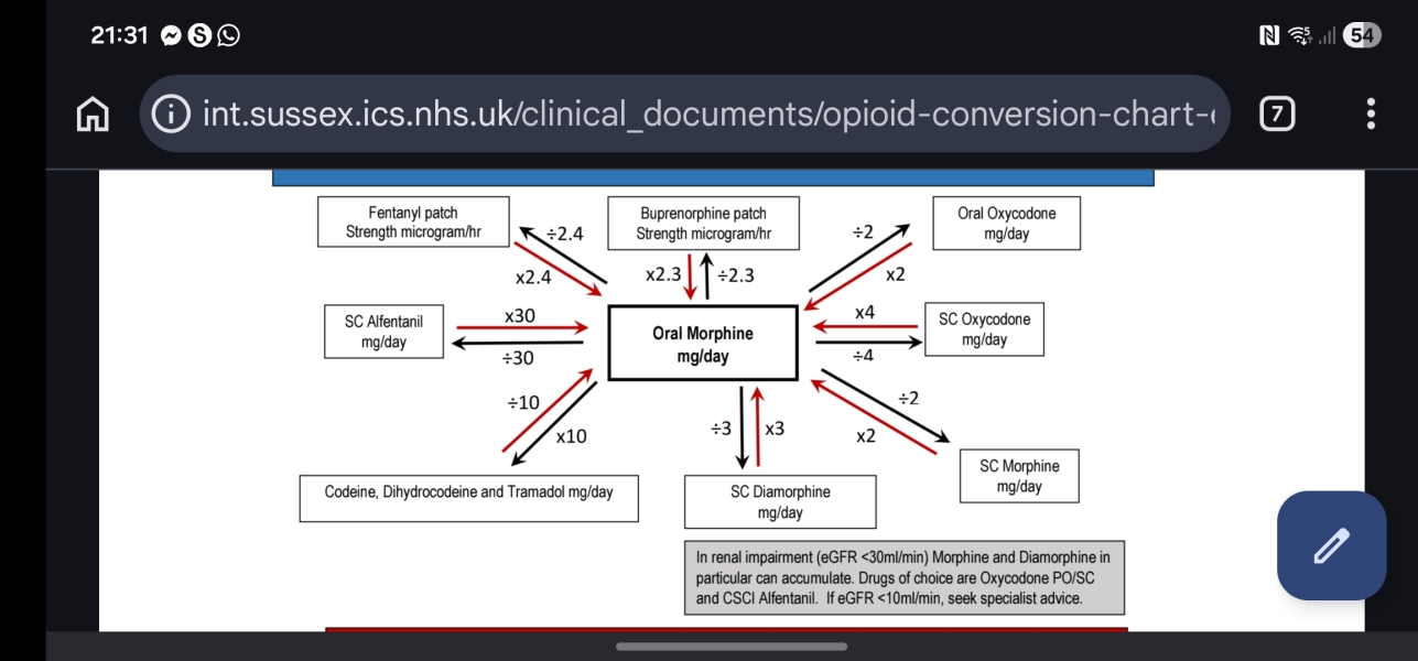 What is the UK equivalent of Oxycontin?