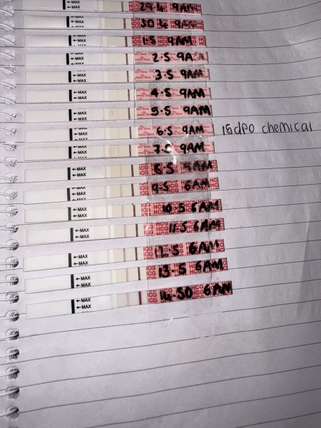 Low HCG, slow progressing tests and bleeding in early pregnancy, any similar experiences?