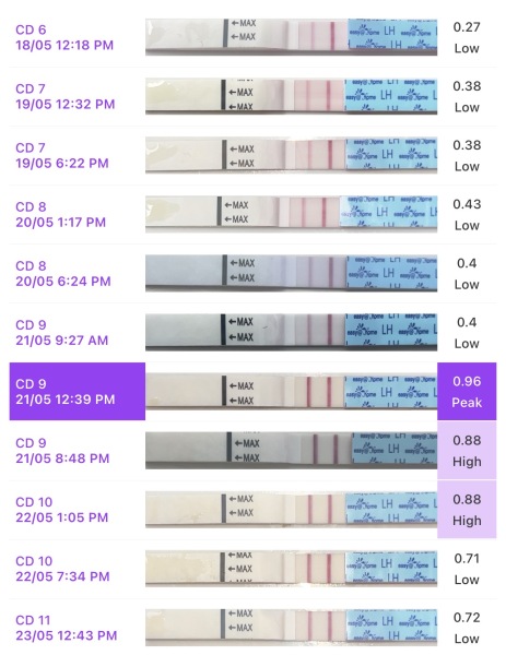 Would you say i have ovulated? :-)