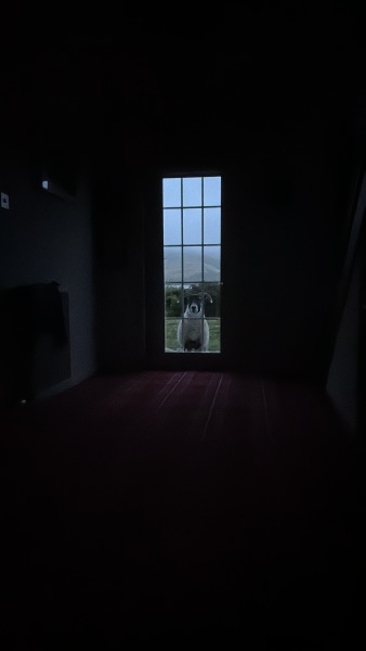 ohmydaysohmydaysohmydays A NEW HOUSE